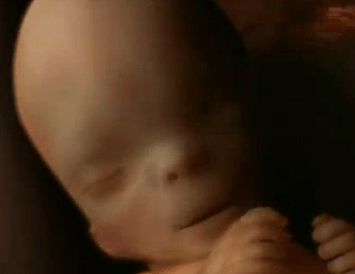 Amazing “The Miracle of Life” video&nbsp;clip