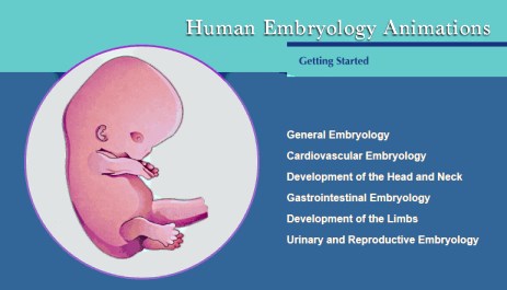 Human Embryology Animations