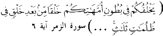 This verse from the Koran (39:6) states that God makes you in the wombs of your mothers in stages, one after another, with in three veils of darkness