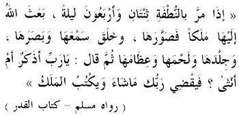 Figure 19. This Hadith according to Moslem sates that 42 days after the nutfa forms, God sends an angel to its features and to create its hearing, vision, skin, flesh and bones. 'Oh God', the angel asks, 'male or female?' (Muslim: Kitab al-Qadr) 