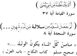 Figure 9. The first verse from the Koran (75:37) says, 'Was he not a drop of fluid which gushed forth?' The second verse (32:8) says 'God made the progeny of men from an extraction of despised fluid'. The third quotation is a saying from Hadith according to Muslim. It says, 'Not from all the secretions is the child made..' (Muslim:Kitab Al-Nikah, Bab Al-azl) 